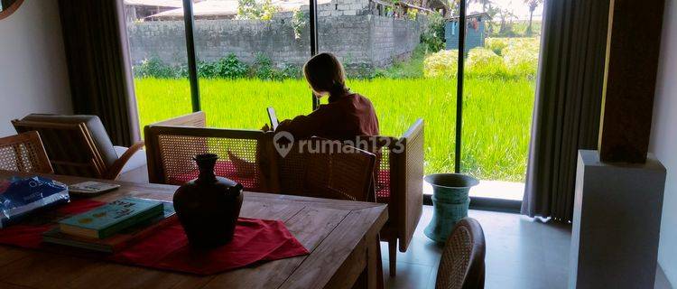 For Rent Villa Ubud With Rice Field View Ubud Gianyar Bali Indonesia Rice Field View And Mountain Agung 40 Menutes From Canggu  1