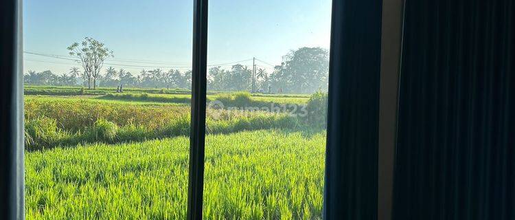 Di Rental Villa Rice Field View 10 Menutes From Central Ubud Gianyar 12 Menutes From Mongkey Forest  1