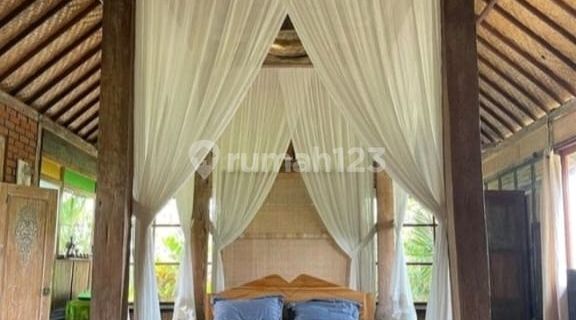 For Rent Villa Rice Field View Ubud Gianyar Bali Indonesia Strategic 10 Minutes From Mongkey Forest Central Ubud 40 Minutes To Canggu Bali 1
