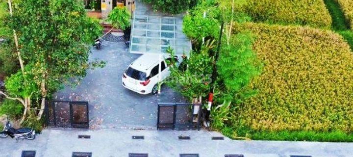 For rent  Villa rice field view Sayan Ubud 10 menutes from mongkey forest center ubud 40 menutes from Canggu Nyanyi beach Tanah Lot tabanan Bali Indonesia in the middle of rice fields 10 menutes from Central Ubud Bali Indonesia rice field view  1