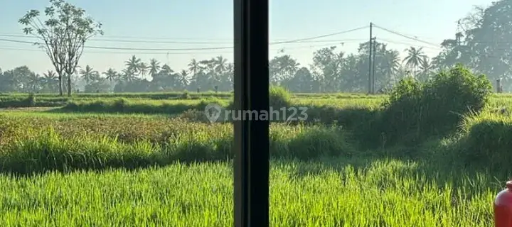 For Rent Villa Ubud Gianyar 3 Bedroom N The Middle Of A Large Rice Field, Rice Field View Sayan 10 Menutes From Central Ubud Gianyar, Mongkey Forest Dikontrakkan Villa Di Ubud 12 Menit From Central Ubud Mongkey Forest 40 Menutes From Canggu  1