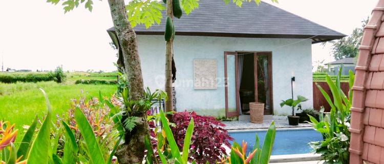 For rent villa Ubud in the middle of the rice field view healing, Gianyar Bali 10 menutes From Mongkey Forest Villa di Ubud Jalan Pure Dalam Banjar Tunon Singakerta Ubud Bali , Gianyar  Lease hold Villa 10 menutes from mongkey forest Central Ubud Gianyar  1