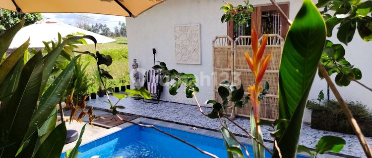 For Rent Villa Rice Field View Ubud 10 Menutes From Mongkey Forest Center Ubud Bali, 40 Menutes From Canggu Nyanyi Beach Canggu 5 Menutes From Rusters Kafe Price 18.000.000 View Very Beuatifulbali Strategis Near From Canggu 30 Menutes 10 Menutes From Mong 1