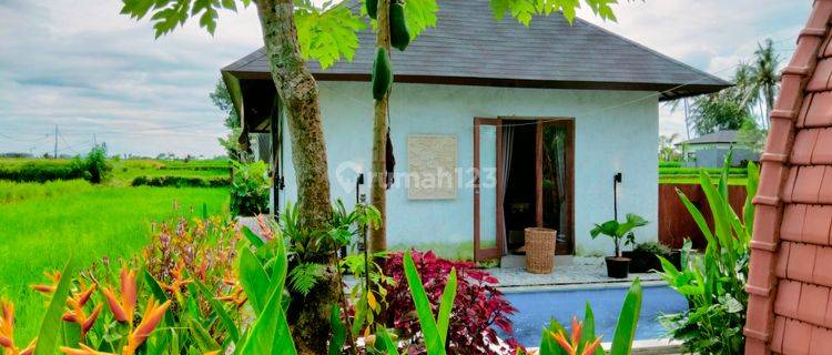For Rent Villa The Middle Rice Field With No Neighbors10 Menutes From Central Ubud Mongkey Forest 40 Menutes From Canggu Nyanyi Beach Tanah Lot Tabanan Bali Rice Field View Ubud Villa In The Middl 1
