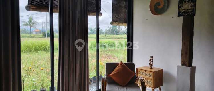 For rent villa rice field view Sayan Singakerta ubud. 10 minute from central ubud. 30 minutes from sanur, 40 minutes from canggu. 1