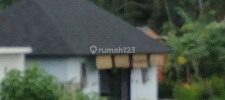 For Rent Villa Rice Field View 10 Menutes From Sentral Ubud Gianyar Bali 1