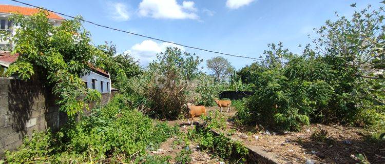 Dijual Tanah di Gedong Sari.. di Sekitar Sudah Banyak Villa2 Bagus 1