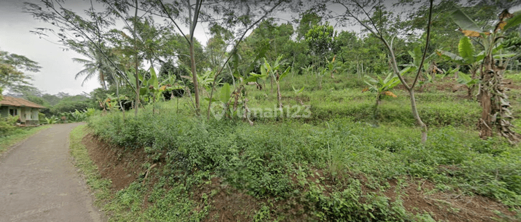 Tanah Luas Lokasi Bagus Strategis di Padalarang Bandung  1