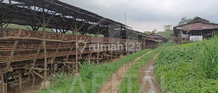 Gudang Peternakan Ayam Petelur di Desa Sukaraksa Bogor Barat 1