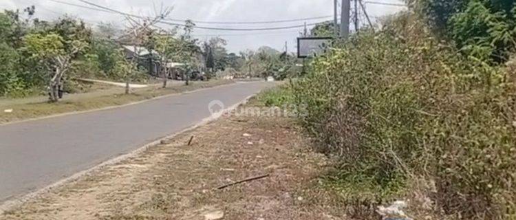 For Rent Large And Solid Land Only 3 Minutes To South Kuta Beach Bali 1