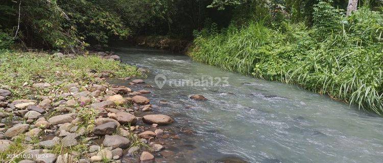 Tanah 53h Di Munte Amurang Cocok Buat Perkebunan Dan Pertanian 1