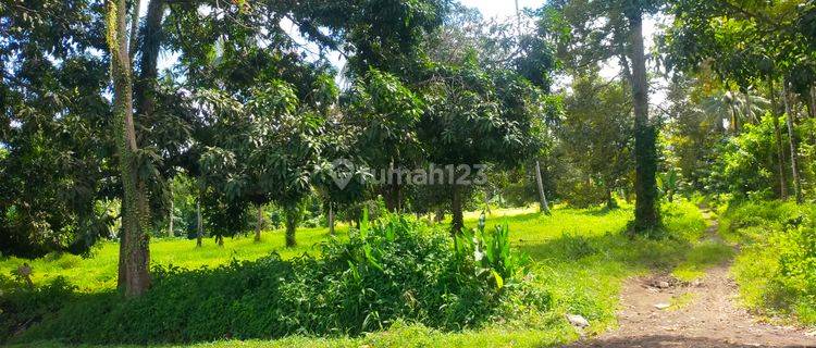 Tanah 1,2h di jl raya Manado Bitung desa Treman for buat gudang  1