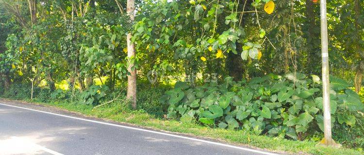 Tanah 1000m2 di jl raya Manado Bitung desa tumaluntung Ok gudang  1