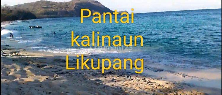 Tanah 3 H Di Kawasan Wisata Pasir Putih Kalinaun Likupang Timur  1