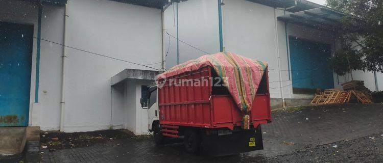 Gudang 1100m2 di maumbi cocok buat distributor ekspedisi cargo   1