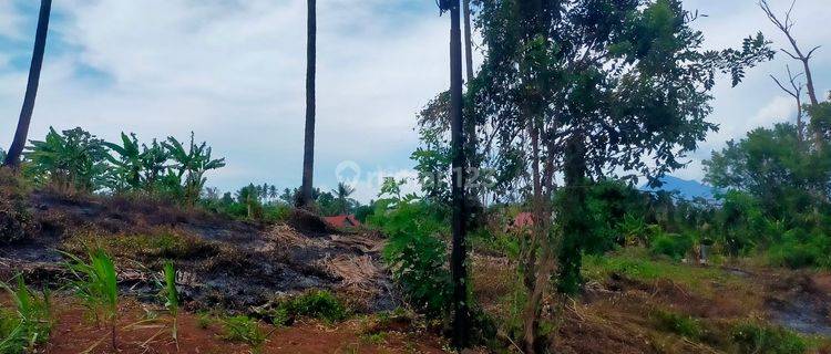 Tanah 1,1 hektar di belakang RS view laut kota Manado  1