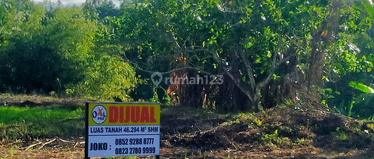 Tanah 4,6 Hektar Di Jl Raya Pandu Dekat Kampus Dan Rs Medika  1