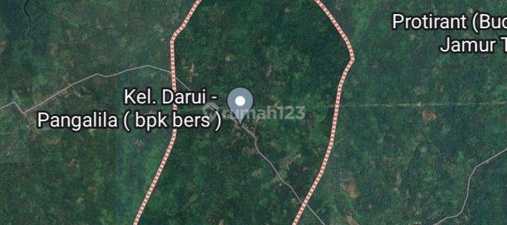 Tanah 3,8h di werot Likupang cocok buat kebun durian mangga dll 1