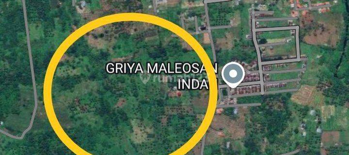 Tanah 7 H Di Depan Griya Maleosan Jl Konsolidasi Buat Investasi 1