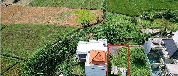 For Sale Small Plot Land 1.6 ara in Tumbak bayuh canggu 1