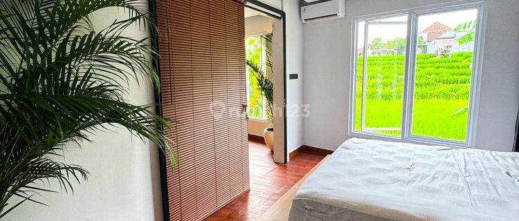 Brand New 2 Bedroom Villa With Paddys View In Padonan Canggu 1