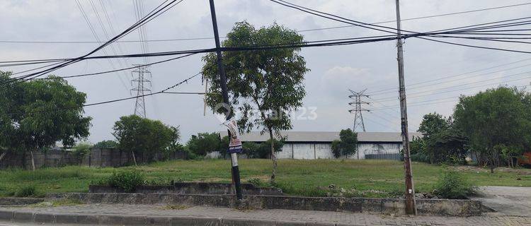 Disewakan Tanah jl. Raya Kaligawe dekat tol 1