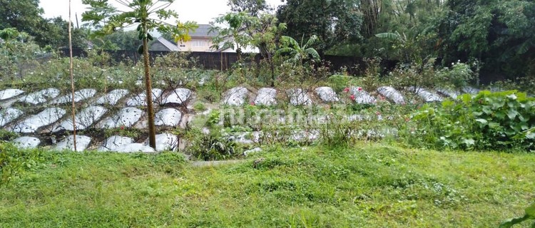 Land in Kenteng Village, Bandungan, Certificate Number 4231 1