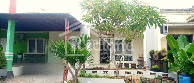 House in Plamongan Indah, Semarang (WN 7859) 1