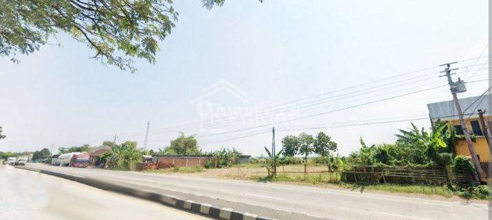 Tanah Luas Strategis di Kendal 1