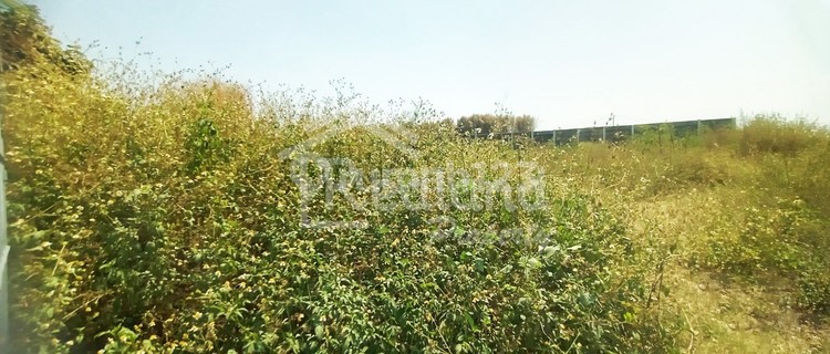 Tanah Rata Strategis Di Mangkang Semarang ( Ln 6954 ) 1