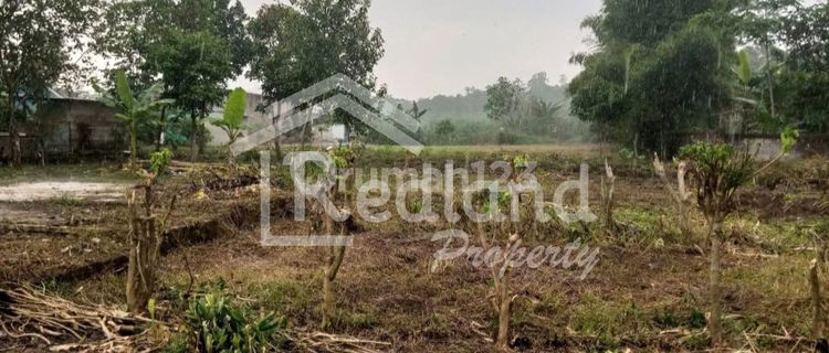 Tanah di daerah Sewakul , Ungaran ( Ln 8216S ) 1