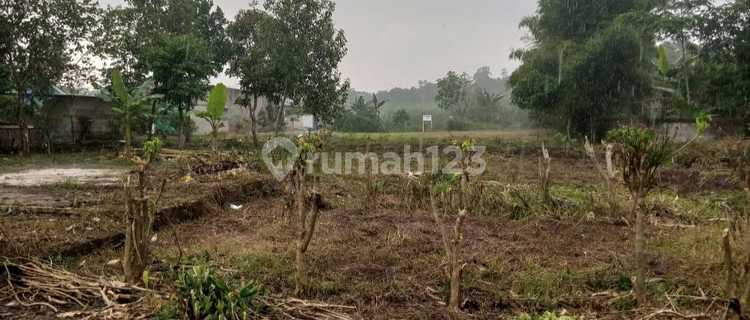 Tanah Rata di Daerah Sewakul , Ungaran 1