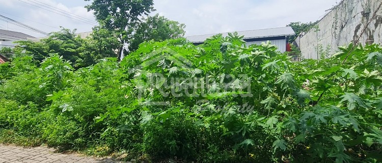 Tanah di Puri Anjasmoro , Semarang Vn 7354  1