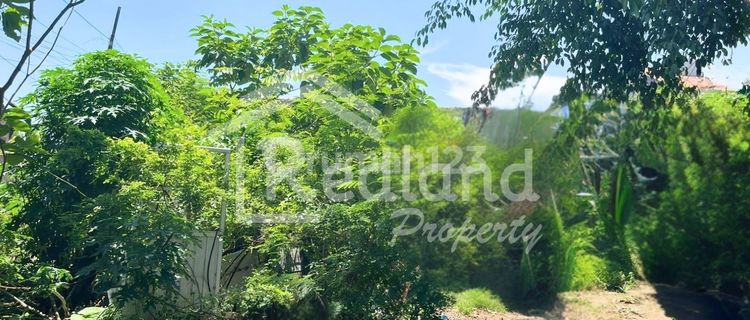 Tanah di Jl Tentara Pelajar , Semarang ( Vn 8624 ) 1