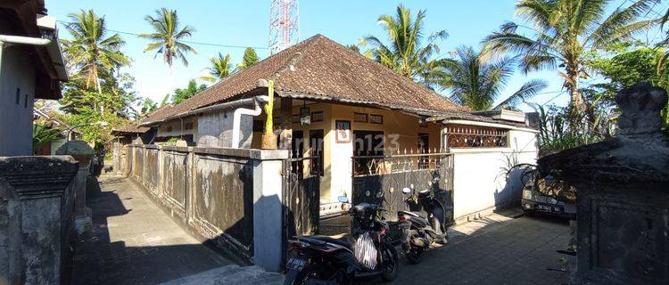 Rumah Di Tampaksiring Suasana Pedesaan.  Di Tirta Empul, Tampaksiring Butuh Renovasi 1