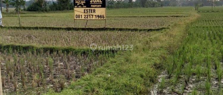 Jual Tanah Ciranjang 1