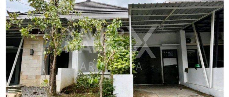 Rumah Sewa Siap Huni Daerah Kota Dengan View Cakep 1