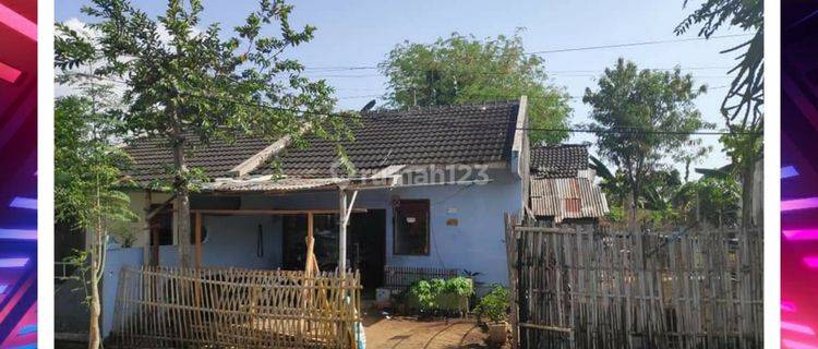 Rumah Hitung Tanah Daerah Patrang Cocok Untuk Hunian Atau Investasi 1