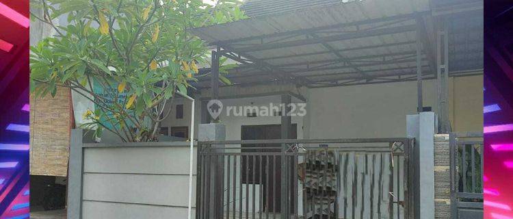 Sewa Rumah Murah Daerah Kebonsari Jember Dekat Kampus Unmuh 1