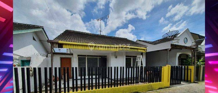 Sewa Rumah Baru Renovasi Dekat Kota Dan Kampus Jember. Siap Huni 1