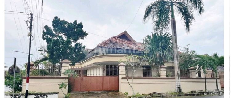 Rumah Luas Lokasi Kaliwates Cocok untuk Kantor Distributor 1