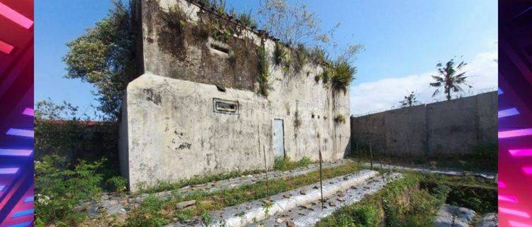 Rumah Sarang Burung Bonus Tanah Daerah Mayang Jember. Harga Murah  1