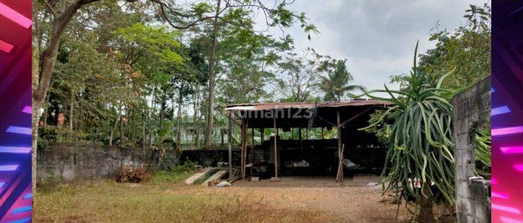 Tanah Murah Strategis di Pinggir Jalan Provinsi Lumajang 1