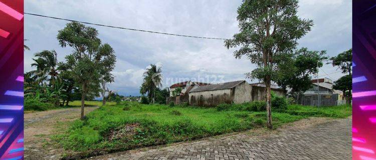 TANAH KAVLING MURAH SIAP BANGUN DI LINGKUNGAN CLUSTER DEKAT TRANSMART & ROXY JEMBER 1