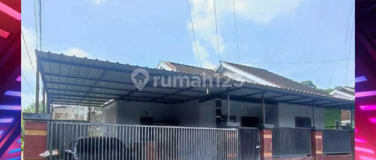 Sewa Rumah 3 Kamar Dekat Rs Subandi Jember. Siap Huni 1