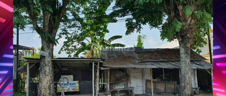 Tanah Strategis Pinggir Jalan Dekat Bpjs Jember. Lebar Depan Bagus Cocok Untuk Usaha 1