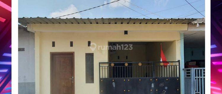 Rumah Minimalis Murah Siap Huni Daerah Tegal Besar Jember 1