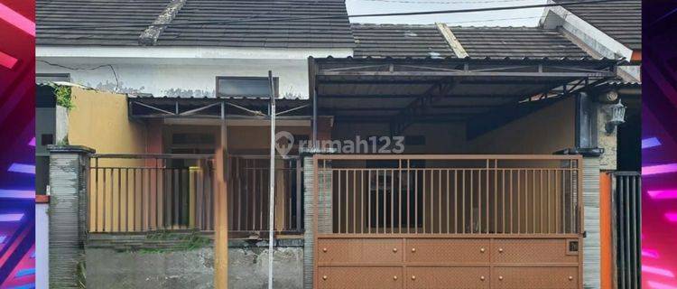 Kontrakan Rumah Murah Minimalis Siap Huni Jember 1