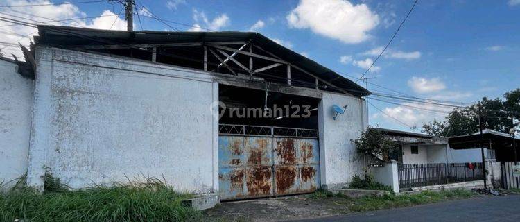 Sewa Gudang Dan Rumah Bonus Tanah Luas Daerah Jember Kota 1