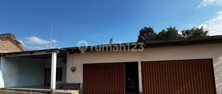 Rent for a Spacious House and Shop in the Pakusari Area, Jember. Suitable for Offices or Retail Businesses. 1